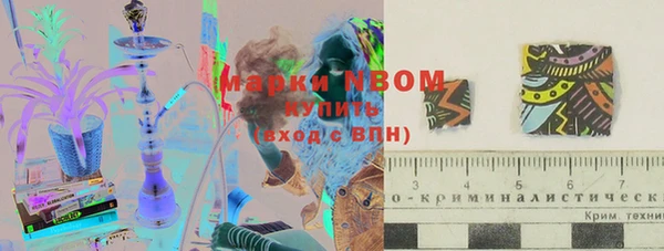 ПСИЛОЦИБИНОВЫЕ ГРИБЫ Инсар