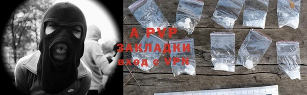 ПСИЛОЦИБИНОВЫЕ ГРИБЫ Инсар
