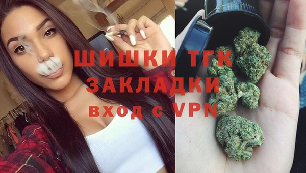 ПСИЛОЦИБИНОВЫЕ ГРИБЫ Инсар