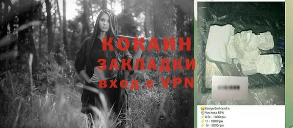 ПСИЛОЦИБИНОВЫЕ ГРИБЫ Инсар