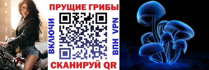 Купить  Котельнич  Псилоцибиновые грибы прущие грибы 